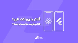 فلاتر یا ری‌اکت نتیو؟ - زینوکد