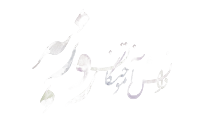 مشتری زینوکد 11